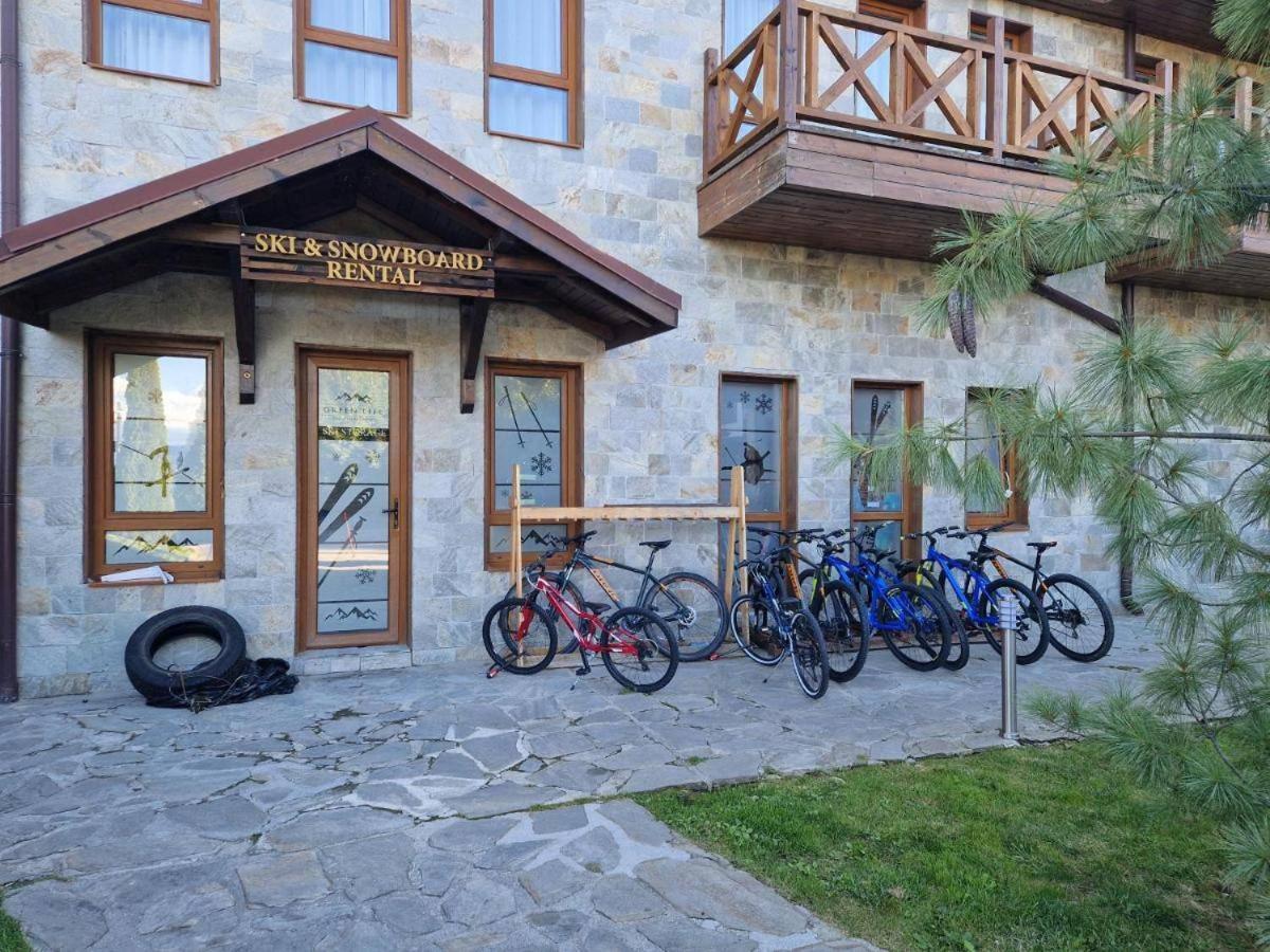 Elegant Studio In Top Bansko Location - Ski & Relax By Flat Mаnager Buitenkant foto